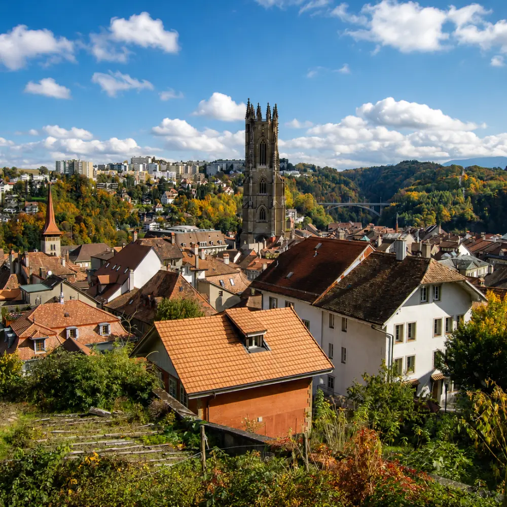 Vue de Fribourg